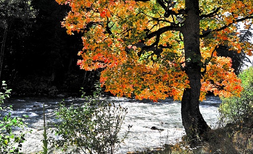 Фото Архыза – осенью  он прекрасен