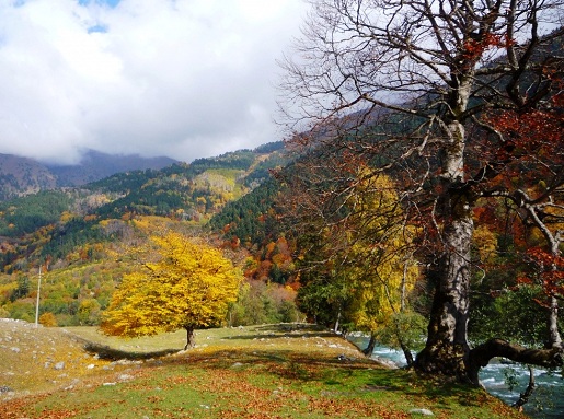 Фото Архыза – осенью он прекрасен